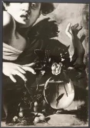 Merisi Michelangelo (Caravaggio) - sec. XVI - Ragazzo morso da un ramarro