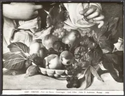 Firenze - Part. del Bacco - Caravaggio - Gall. Uffizi