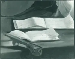 Anonimo caravaggesco italiano - sec. XVII - Suonatore di liuto