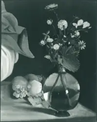 Anonimo caravaggesco italiano - sec. XVII - Suonatore di liuto