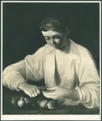 Merisi Michelangelo (Caravaggio) - copia da - sec. XVI - Fanciullo che monda una pera