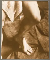 Gentileschi Orazio - sec. XVII - David con la testa di Golia