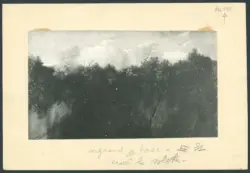 Gentileschi Orazio - sec. XVII - Apparizione di Cristo a san Francesco d'Assisi