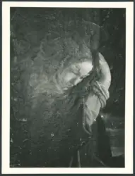 Gentileschi Orazio - sec. XVII - Crocifissione di Cristo con i dolenti e santa Maria Maddalena