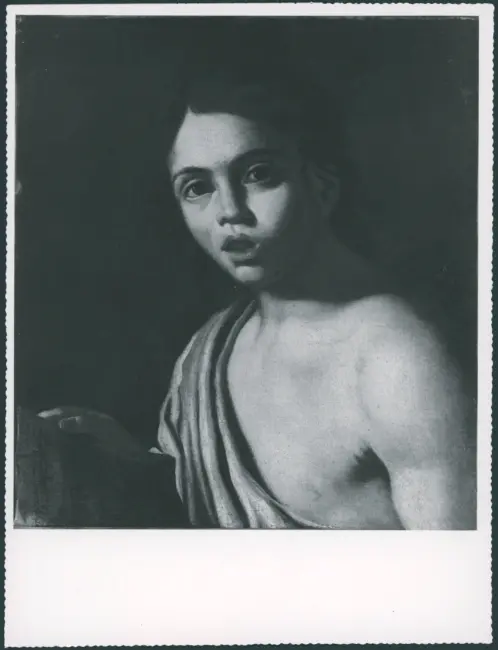 Ritratto di giovinetto