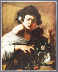 Merisi Michelangelo (Caravaggio) - sec. XVI - Ragazzo morso da un ramarro