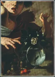 Merisi Michelangelo (Caravaggio) - sec. XVI - Ragazzo morso da un ramarro