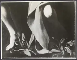 Merisi Michelangelo (Caravaggio) - sec. XVI - San Giovanni Battista