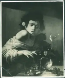 Merisi Michelangelo (Caravaggio) - copia da - sec. XVII - Ragazzo morso da un ramarro