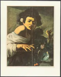 Merisi Michelangelo (Caravaggio) - sec. XVI - Ragazzo morso da un ramarro