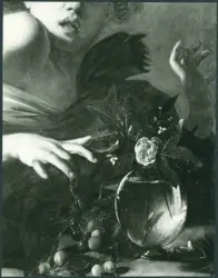 Merisi Michelangelo (Caravaggio) - sec. XVI - Ragazzo morso da un ramarro