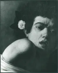 Merisi Michelangelo (Caravaggio) - copia da - sec. XVII - Ragazzo morso da un ramarro