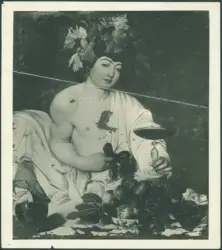 Merisi Michelangelo (Caravaggio) - sec. XVI - Bacco