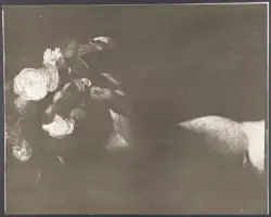 Merisi Michelangelo (Caravaggio) - sec. XVI - San Giovanni Battista con agnello e fiori
