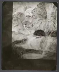 Finson Louis - (?) - sec. XVII - Uomo con canestro di frutta - particolare - radiografia