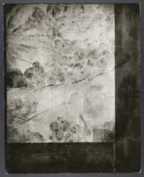 Finson Louis - (?) - sec. XVII - Uomo con canestro di frutta - particolare - radiografia