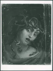 Testa di Medusa