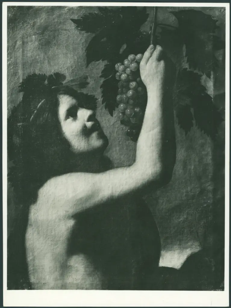 Anonimo caravaggesco italiano - sec. XVII - Bacco