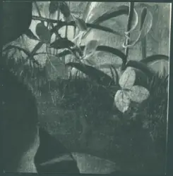 Merisi Michelangelo (Caravaggio) - sec. XVI - Riposo nella fuga in Egitto