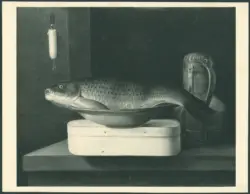 Natura morta con pesce