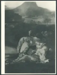 Pynas Jacob Symonsz. - (?) - sec. XVII - Angelica cura le ferite di Medoro