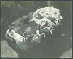 Borgianni Orazio  - sec. XVII - Sacra Famiglia con santa Elisabetta, san Giovannino e un angelo