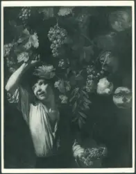 Natura morta con frutta e giovane che coglie l'uva