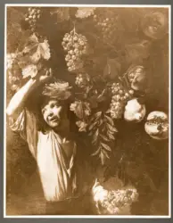 Cerquozzi Michelangelo (Michelangelo delle Bambocciate/ Michelangelo delle Battaglie) - sec. XVII - Natura morta con frutta e giovane che coglie l'uva