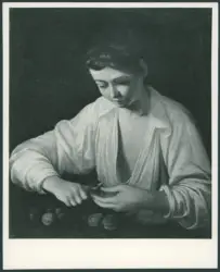 Merisi Michelangelo (Caravaggio) - copia da - sec. XVI - Fanciullo che monda una pera