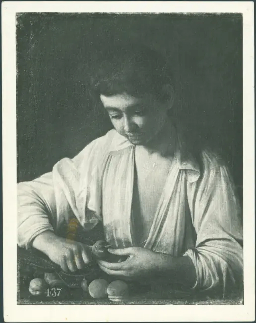 Merisi Michelangelo (Caravaggio) - copia da - sec. XVI - Fanciullo che monda una pera