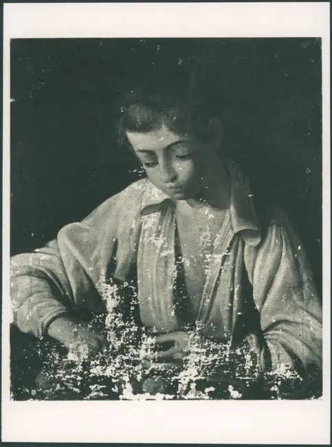 Merisi Michelangelo (Caravaggio) - sec. XVII - Ragazzo che sbuccia un frutto