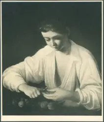 Merisi Michelangelo (Caravaggio) - copia da - sec. XVI - Fanciullo che monda una pera