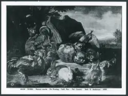 Roma - Natura morta - De Koning - Gall. Naz. Pal. Corsini