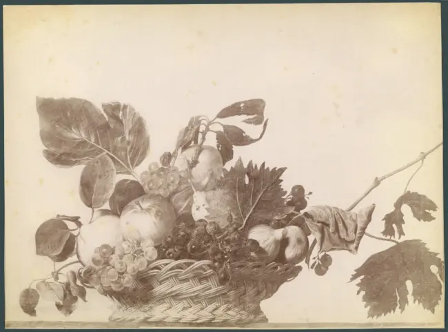 Merisi Michelangelo (Caravaggio) - sec. XVI - Natura morta con cesto di frutta - dipinto