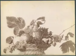 Merisi Michelangelo (Caravaggio) - sec. XVI - Natura morta con cesto di frutta - dipinto
