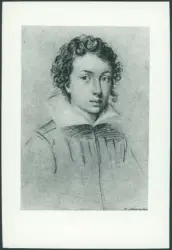 Ritratto di giovinetto