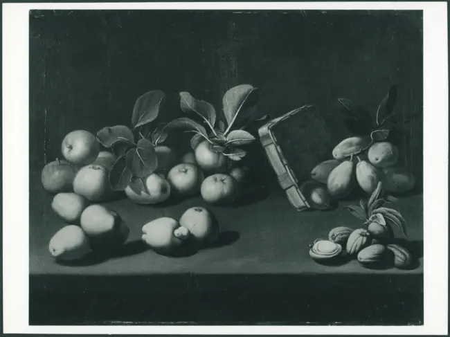 Nuzzi Mario (Mario de' Fiori); Nuzzi Mario (Mario de' Fiori)(scuola) - sec. XVII - Natura morta con frutta