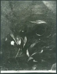 Merisi Michelangelo (Caravaggio) - sec. XVI - San Francesco d'Assisi riceve le stimmate