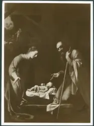 Musso Nicolò - sec. XVII - Natività di Gesù
