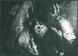 Paolini Pietro - sec. XVII - Martirio di san Matteo Evangelista