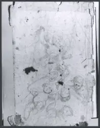Studi di figura