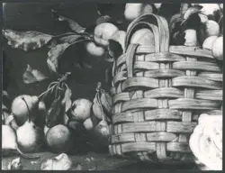Salini Tommaso (Mao Salini) - sec. XVI/ XVII - Natura morta con ortaggi e cesto di frutta e fiori