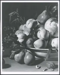 Salini Tommaso (Mao Salini) - sec. XVI/ XVII - Natura morta con piatto di frutta e noci