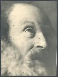 Saraceni Carlo - sec. XVII - Testa di santo (?)