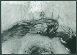 Serodine Giovanni - sec. XVII - Incoronazione di Maria Vergine e il velo della Veronica esposto tra san Pietro, san Paolo, san Giovanni Evangelista, sant'Antonio Abate, san Carlo Borromeo e san Sebastiano