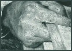 Serodine Giovanni - sec. XVII - Ritratto del padre di Giovanni Serodine
