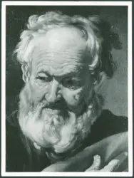 Testa di vecchio