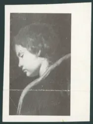 Cherubino