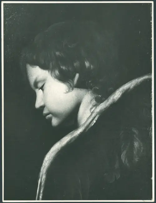 Galli Giovanni Antonio (Spadarino) (?) - sec. XVII - Cherubino
