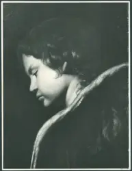 Galli Giovanni Antonio (Spadarino) (?) - sec. XVII - Cherubino
